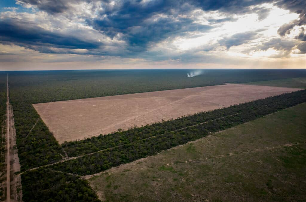 Fighting for the Native Forest of the Gran Chaco in Argentina – Inside Climate News